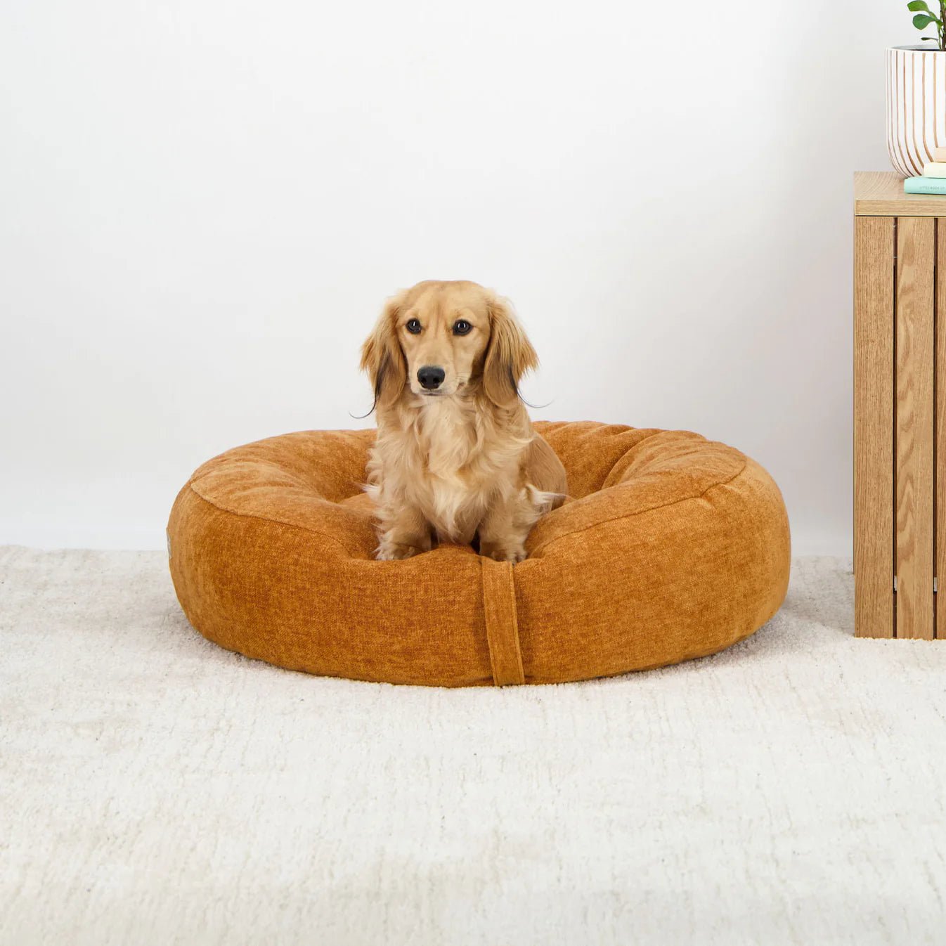 Dream Cloud Dog Bed - Marigold