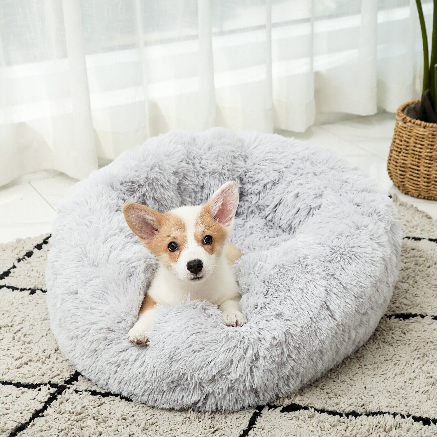 Calming Pet Bed