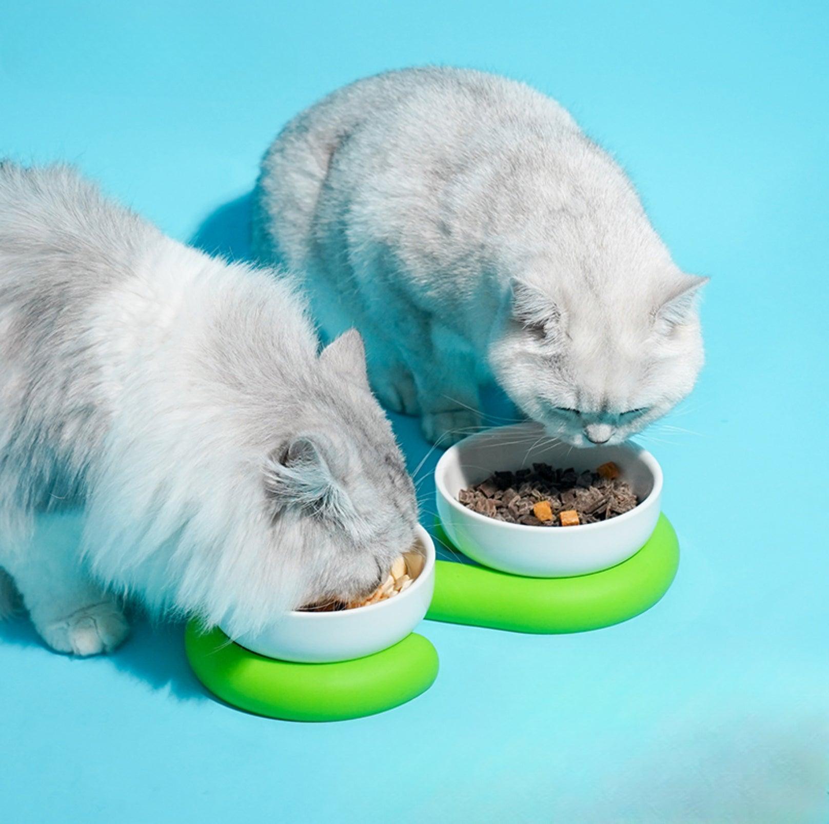 Stylish Ceramic Double Cat Bowls and Dog Bowls With Silicone Base