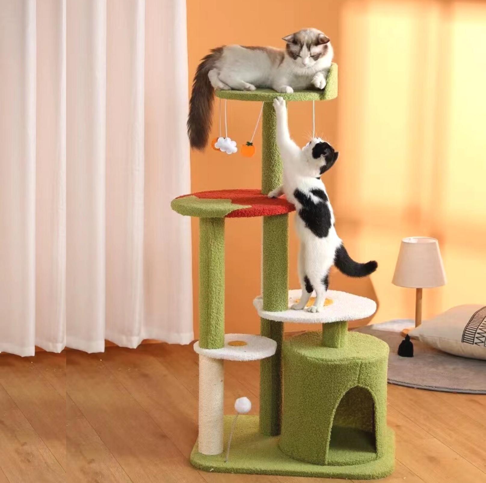 Fried Egg With Tomato Cat Tree Climbing Frame With Scratching Posts