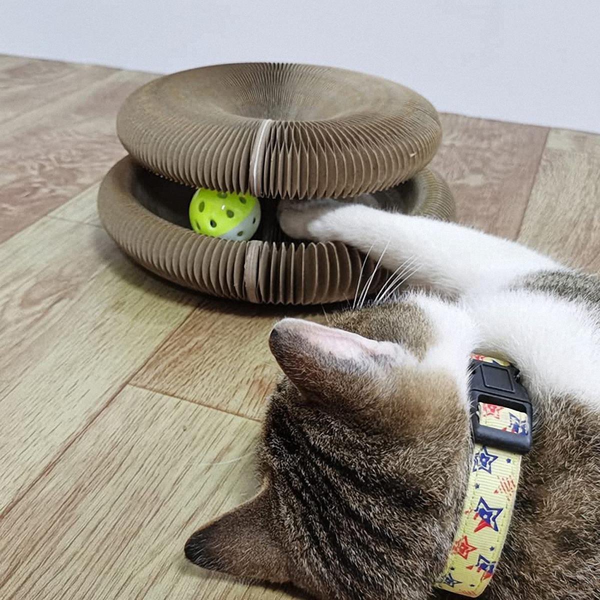 💥Last Day Promotion 70% OFF💥Organ Cat Scratching Board