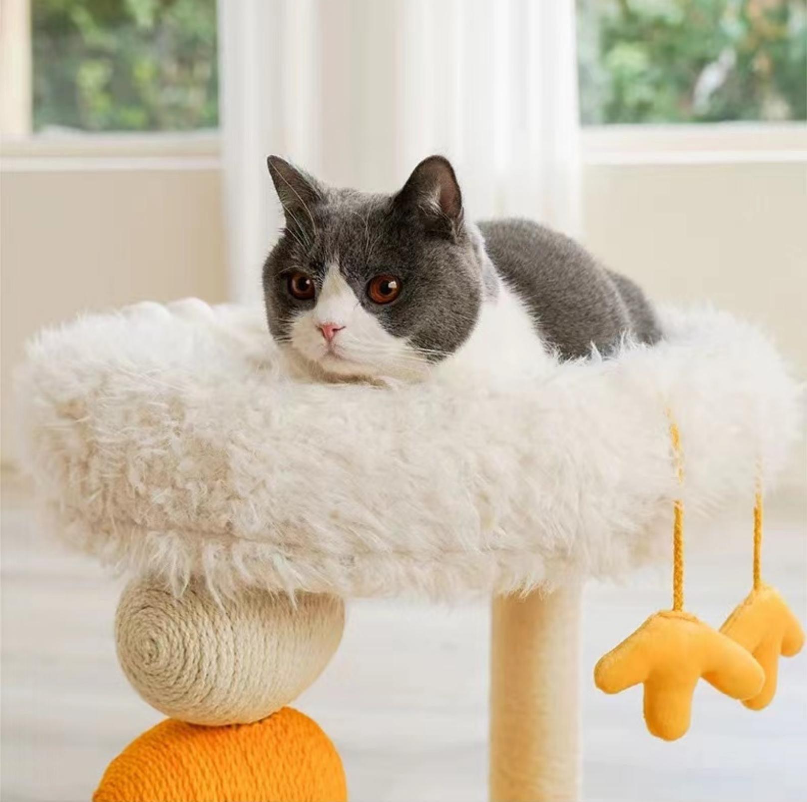 Cat Scratching Post and Cat Bed