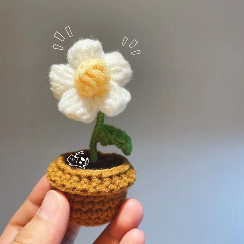 Handmade knitted flowers