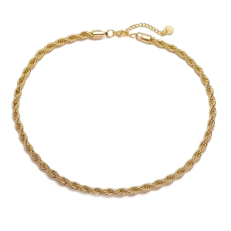 Stainless Steel IG Style Minimalist Plating Solid Color Necklace