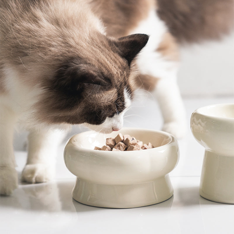 Simple Ceramic Cat Bowl-For Round Faces