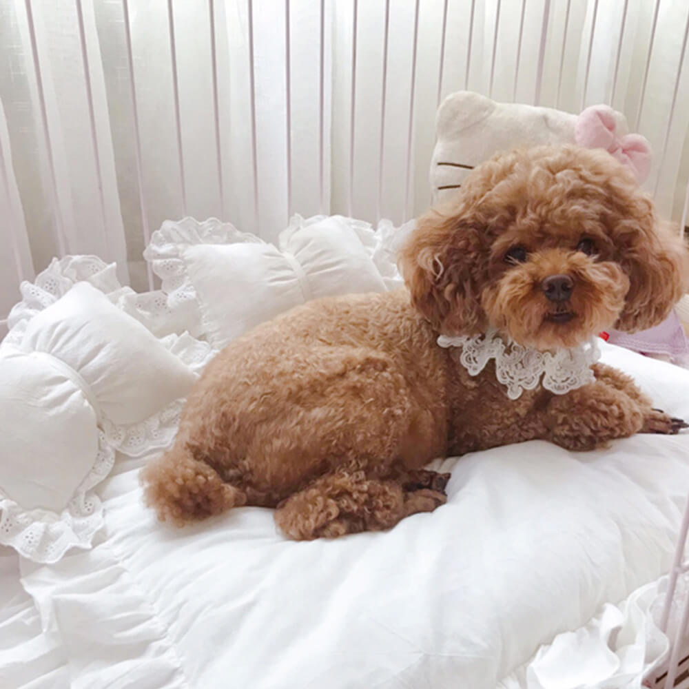 Cute Princess Ruffle Trim Removable Oval Cushion Dog Bed