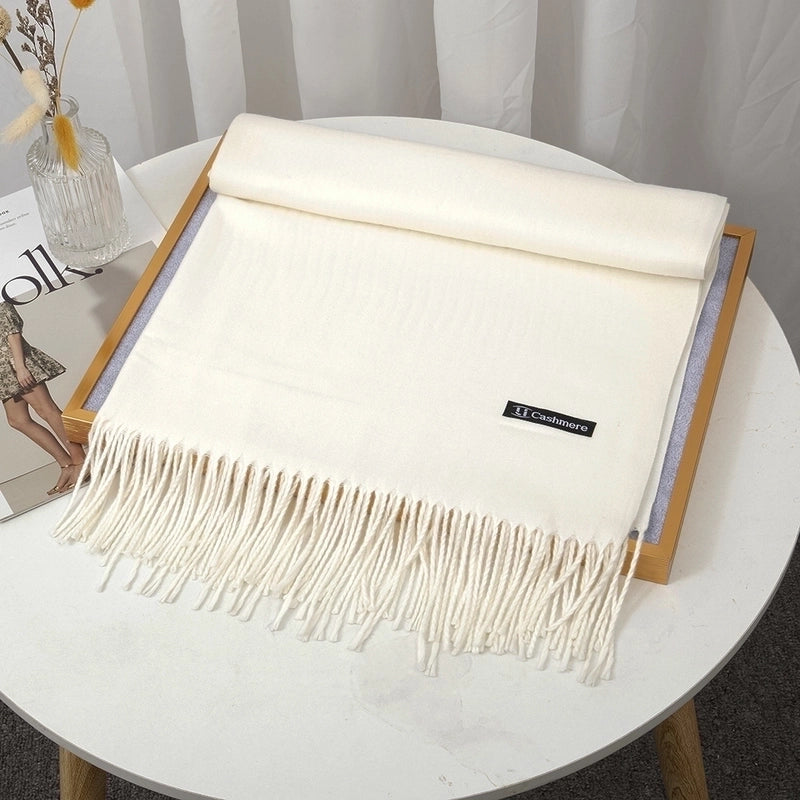 Women's Minimalist Solid Color Imitation Cashmere Tassel Scarf
