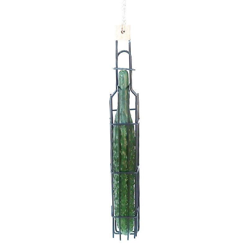 Metal Hanging Bird Feeder Treat Holder