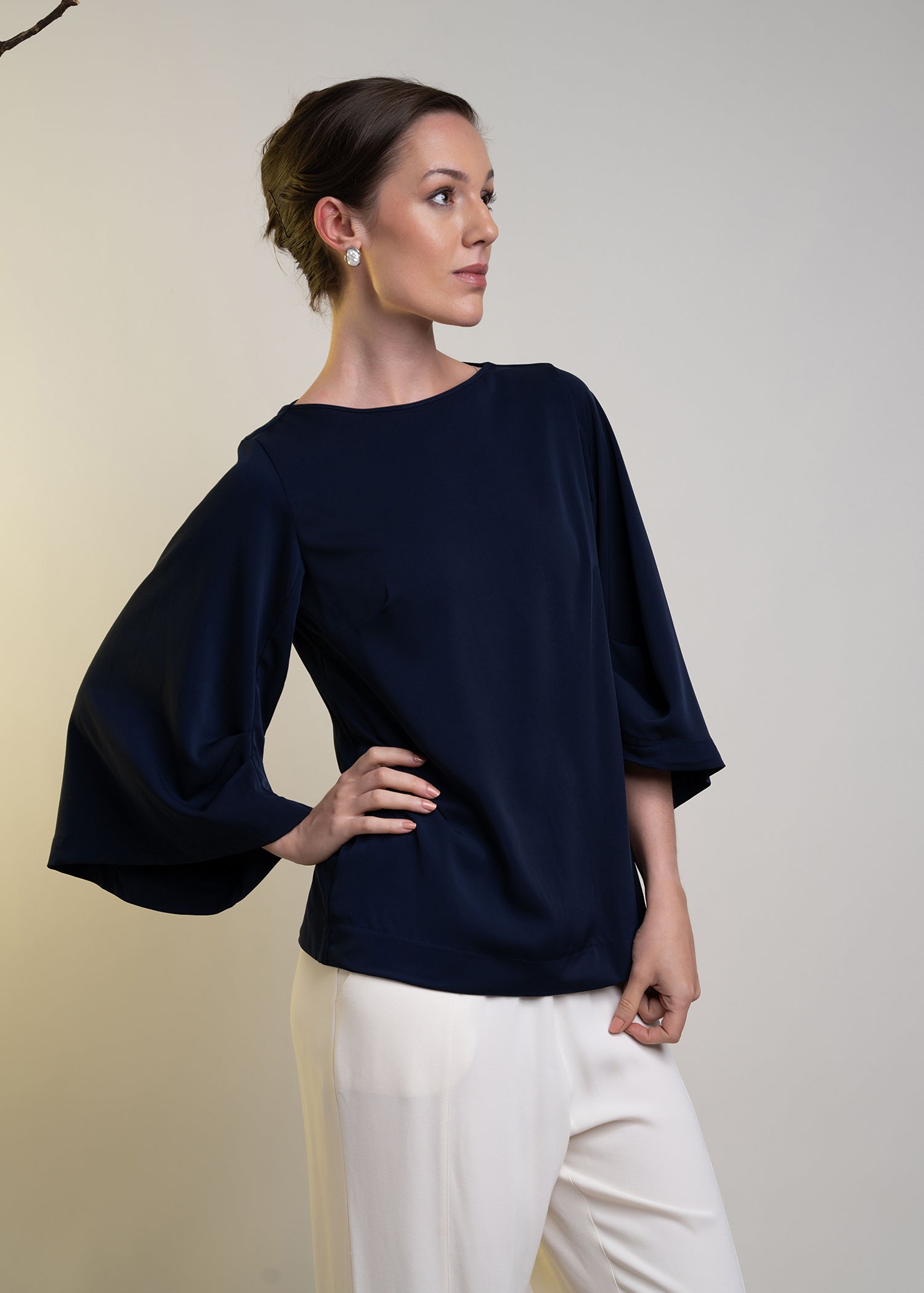 Pleated Sleeve Blouse