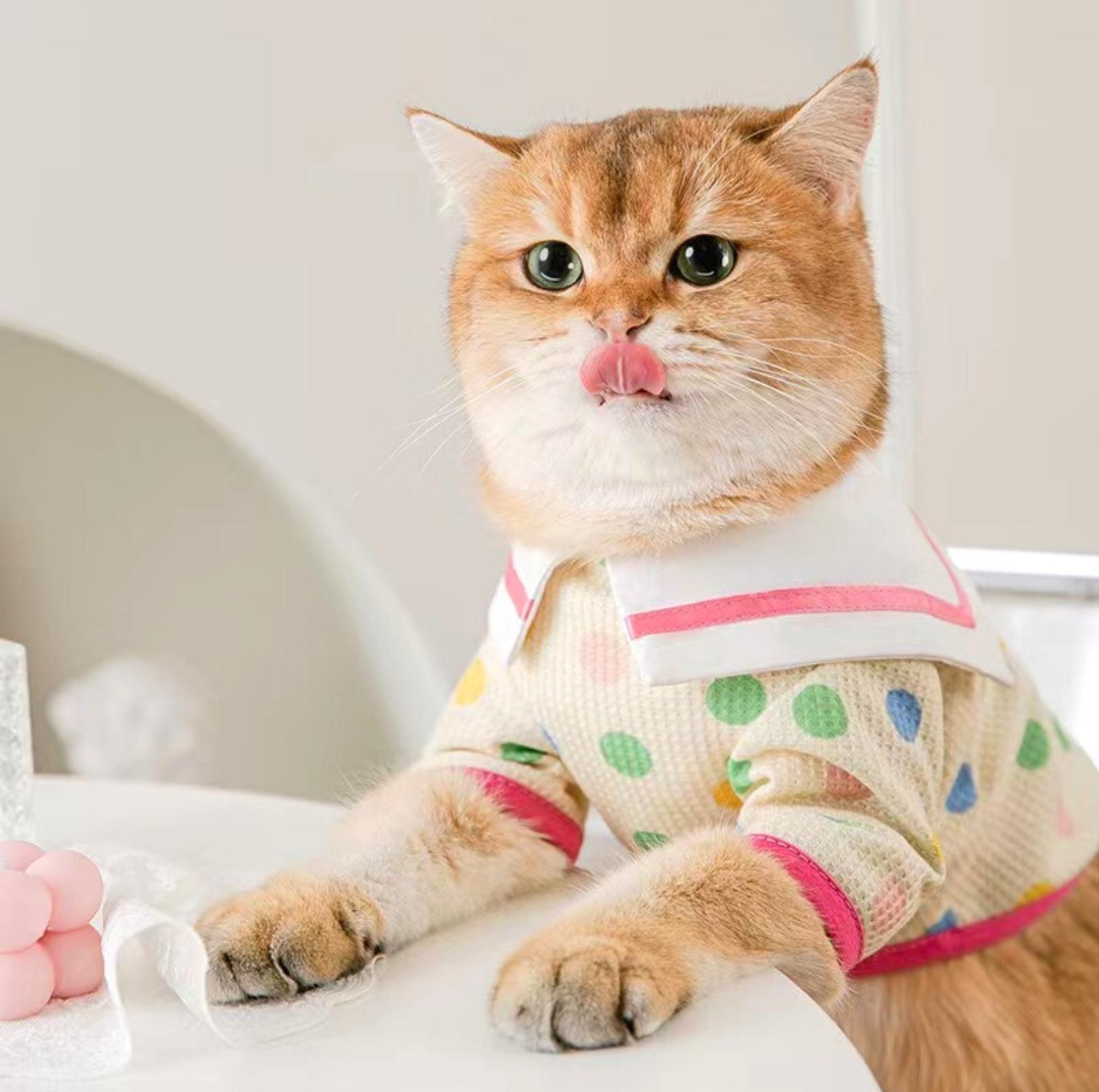 Charming Naval Collar Pet T-shirt with Colourful Dots