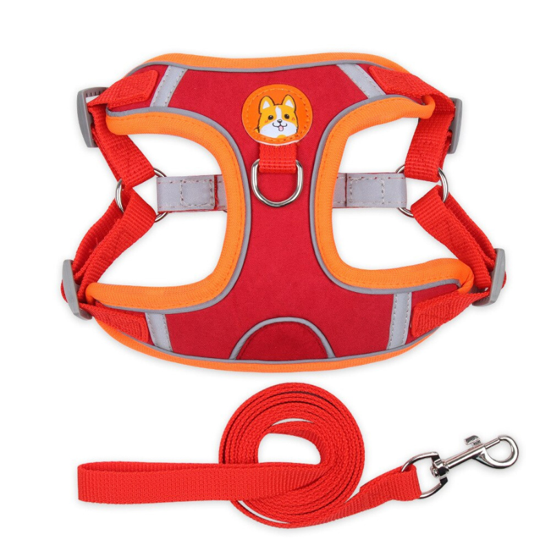 Reliable Dog Harness And Leash Set