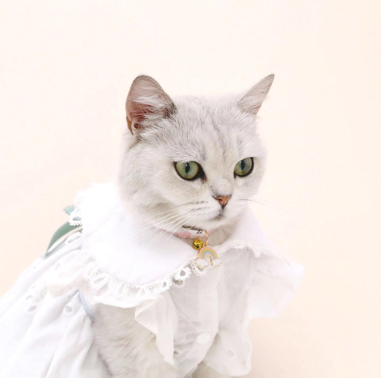 Rainbow Cloud Pendant Adjustable Pet Necklace