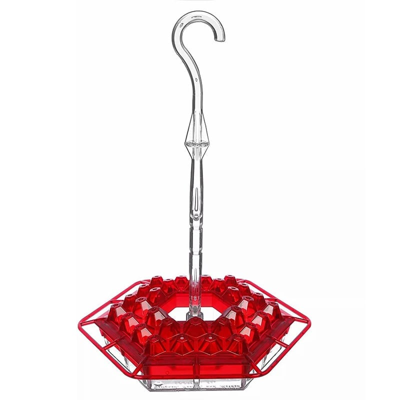 🎉   Promotion-49% OFF 🎉 Sweety Hummingbird Feeder