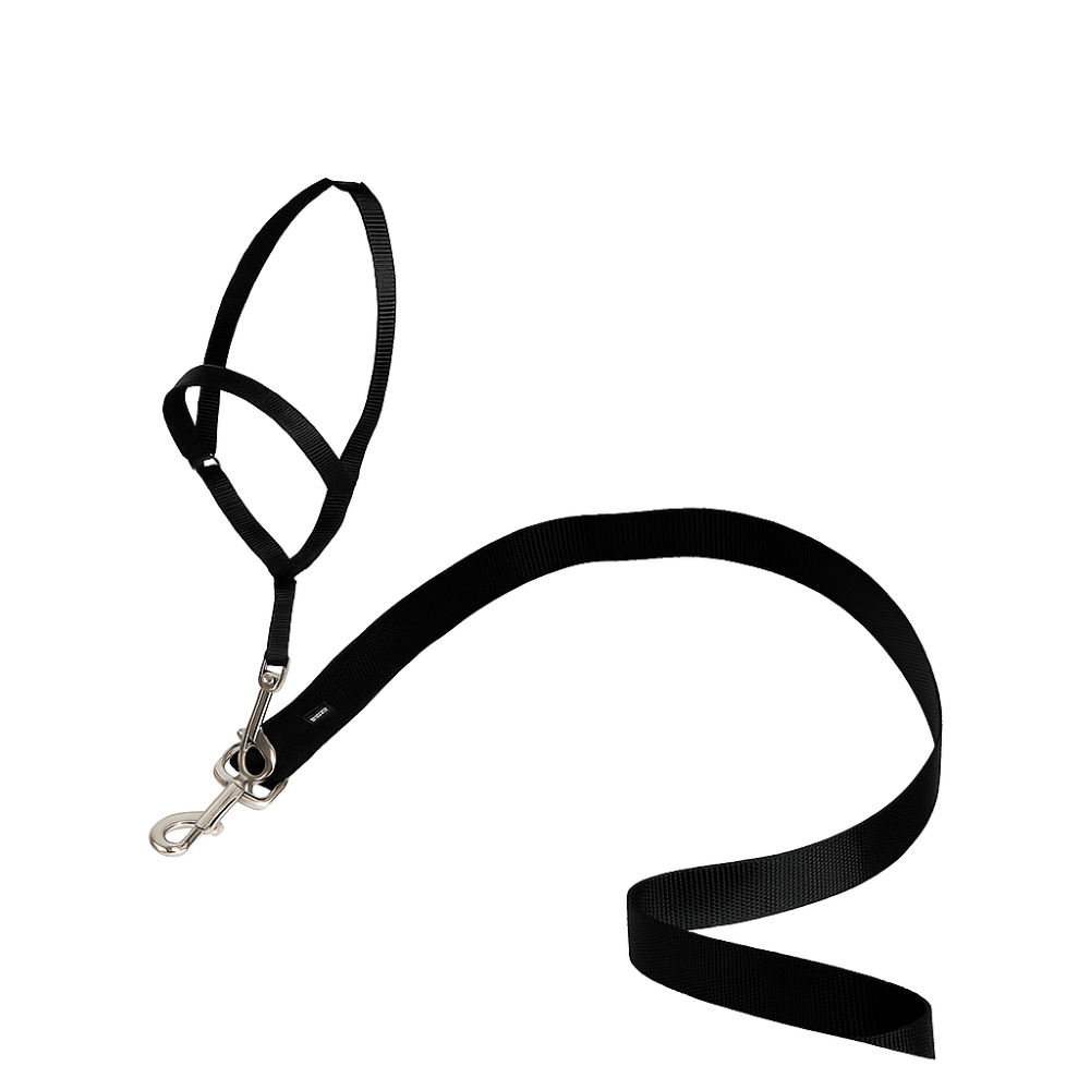 Adjustable No Pull Dog collar