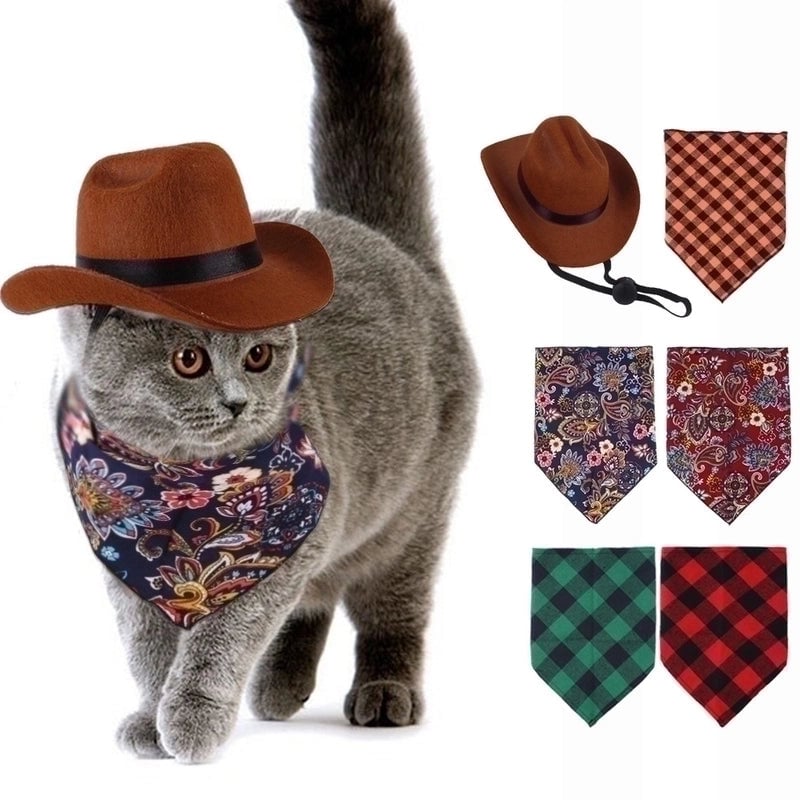 Casual Nonwoven Solid Color Pet Hat 1 Piece