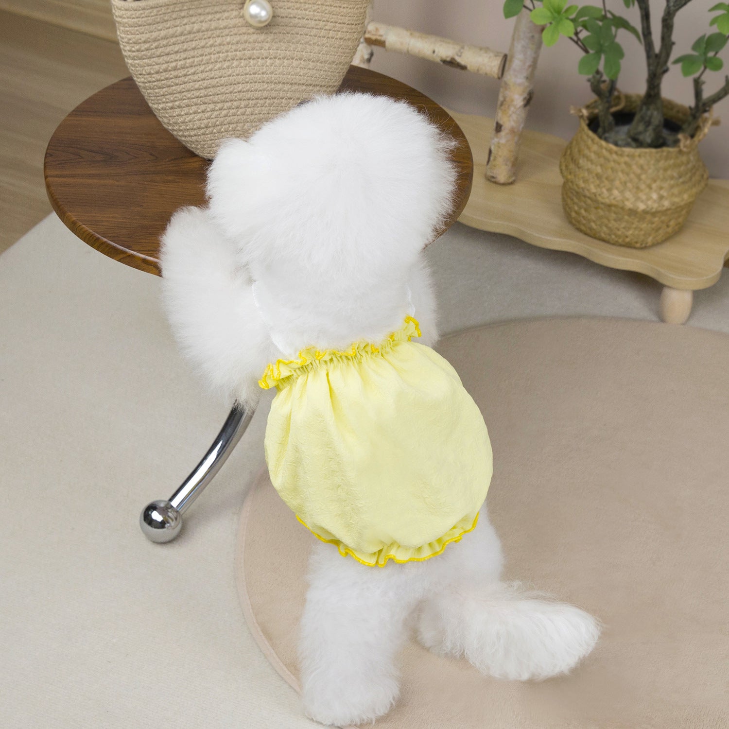 Solid Color Ruffled Puffy Dog Cat Dress