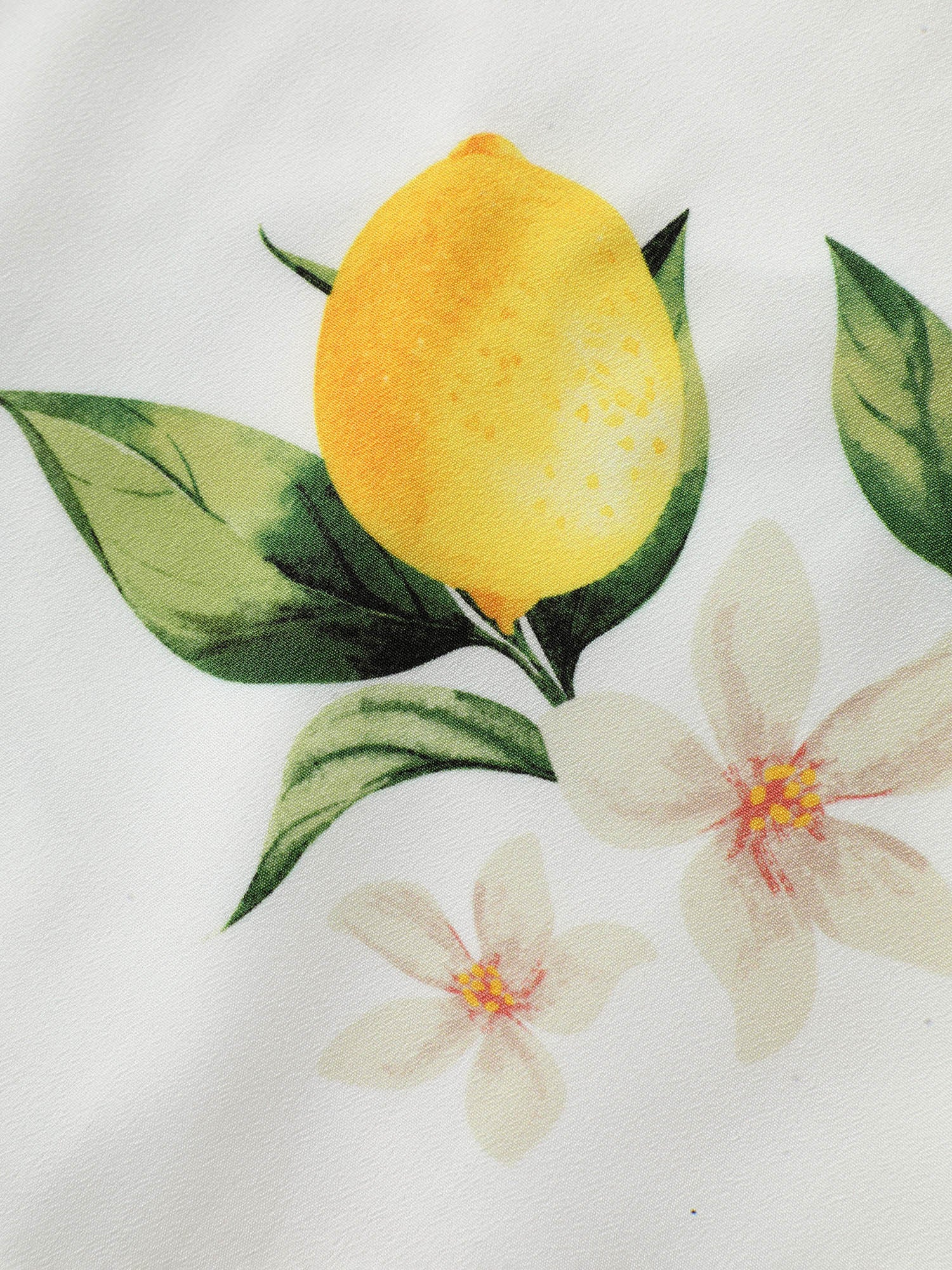 Citrus Print Petal Trim Blouse