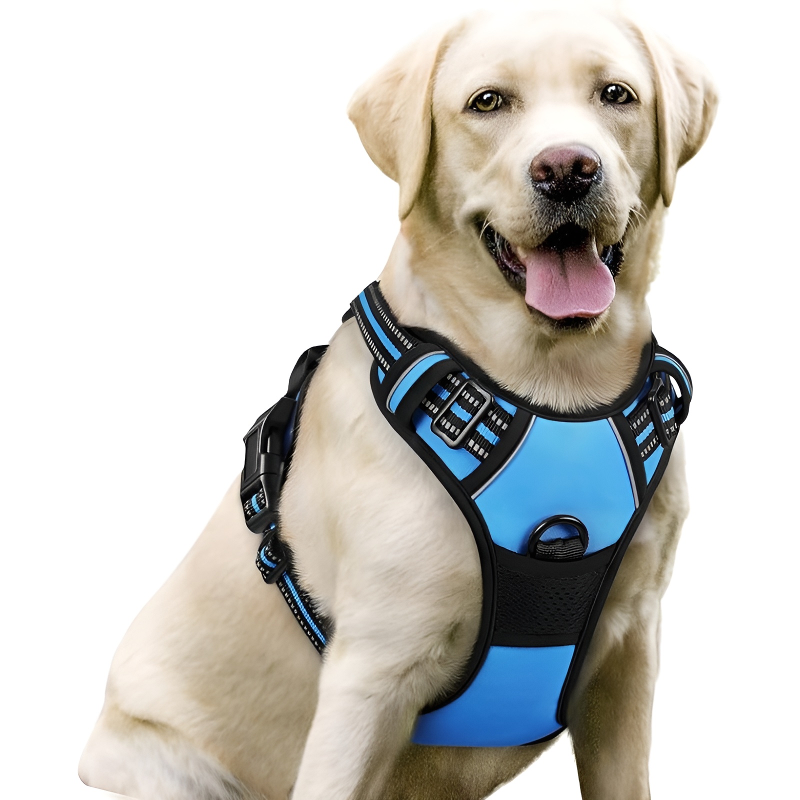 Dog Harness No Pull With 2 Leash Clips