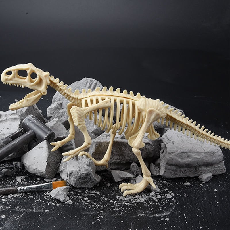 Great Educational Toy for Kids🎁2022 New Arrival Dinosaur Fossil Digging Kit - Get Three Tools For Free🔥