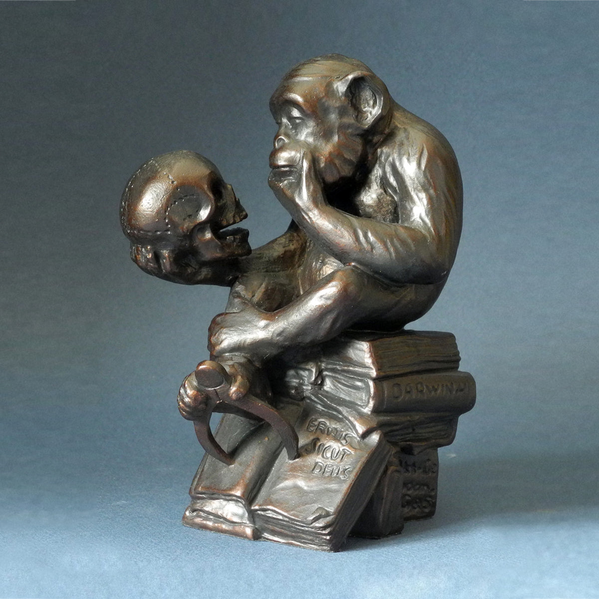 Rheinhold The Darwin Monkey