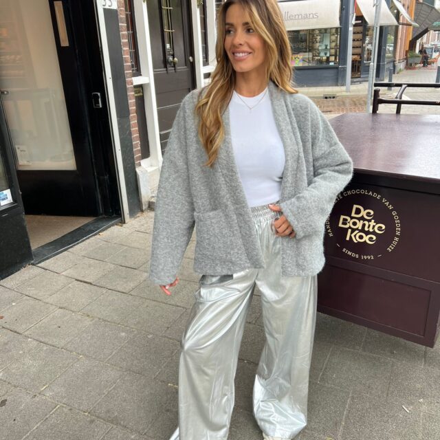 Britt Pants Silver