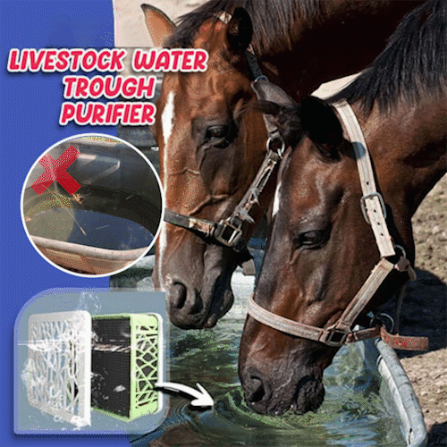 🔥LAST DAY 48% OFF 🔥 Livestock Water Trough Purifier - Buy 2 Free Shipping