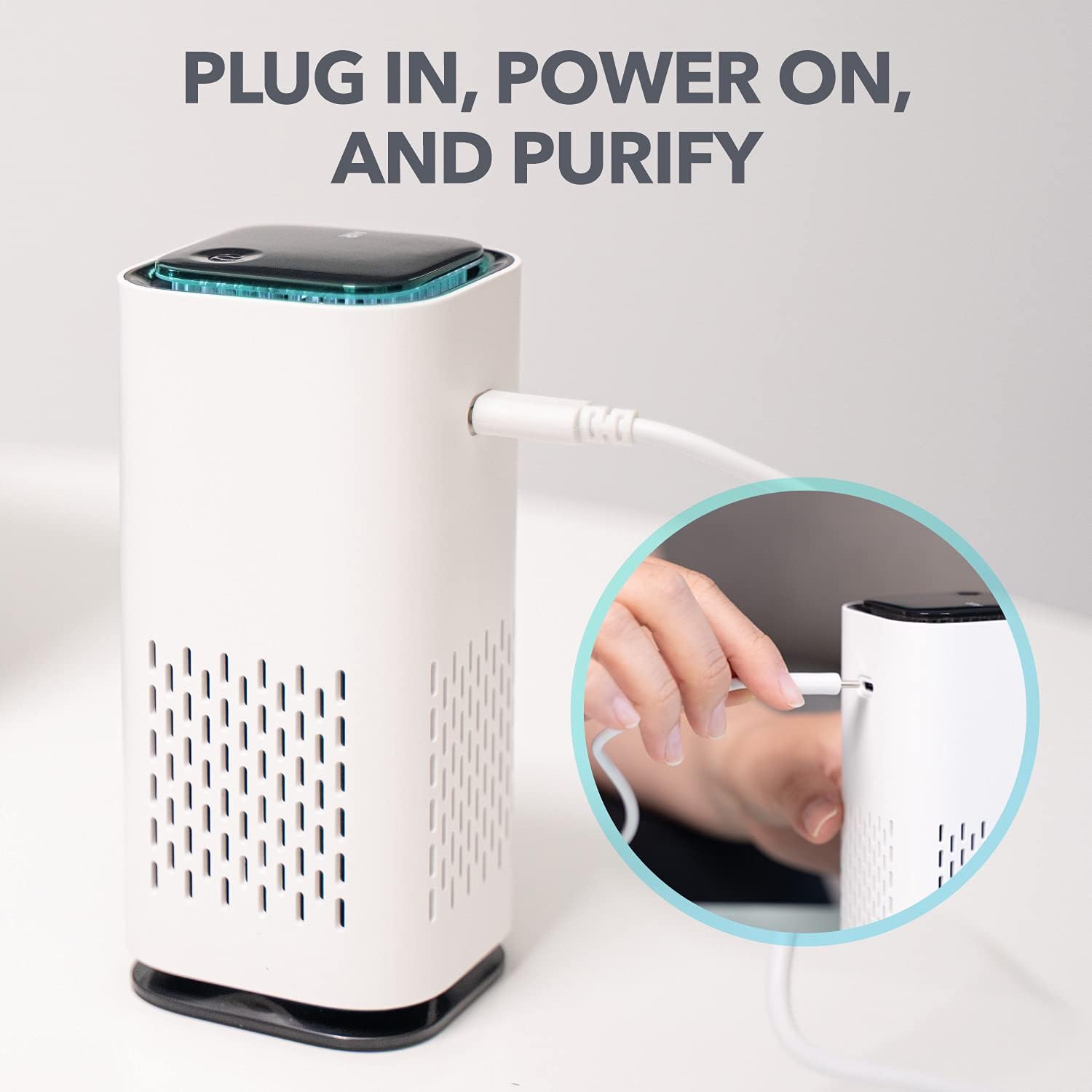 Pet Air Purifier/Filter