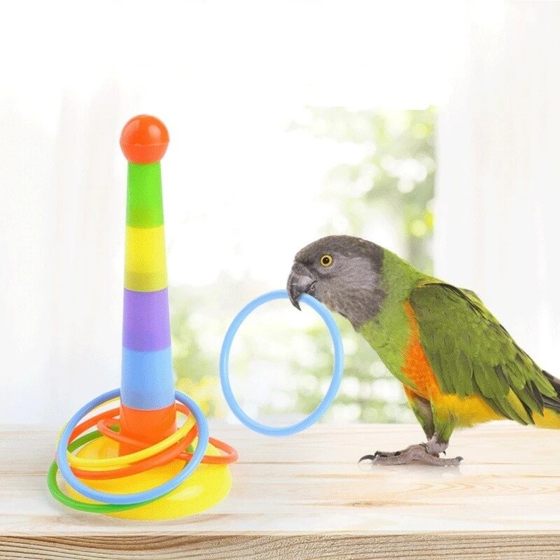Bird Parrot Activity Toys