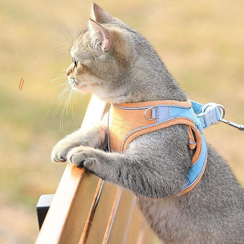 Luminous Cat/Dog Vest Harness and Leash Set