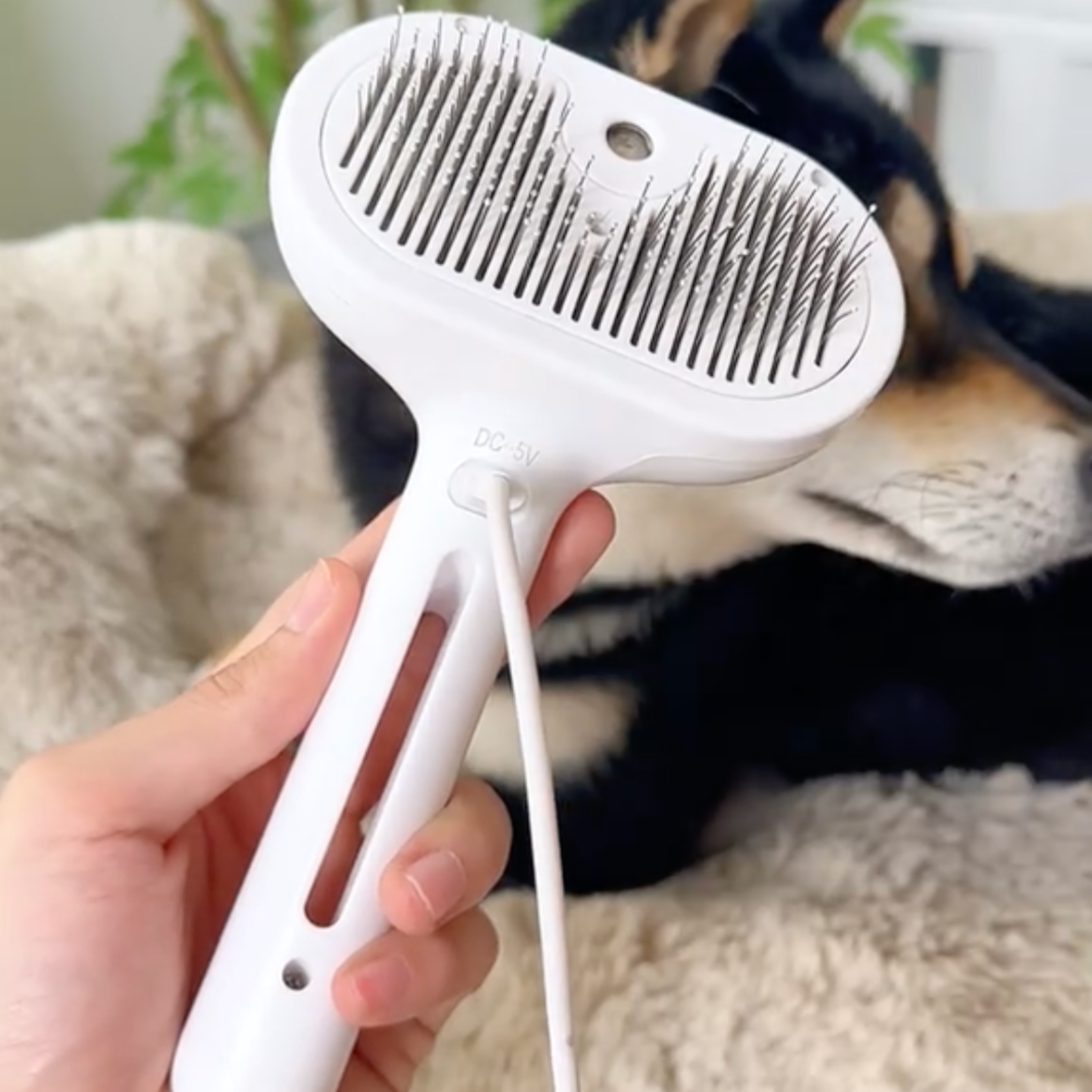 3 in 1 Viral Steam Brush