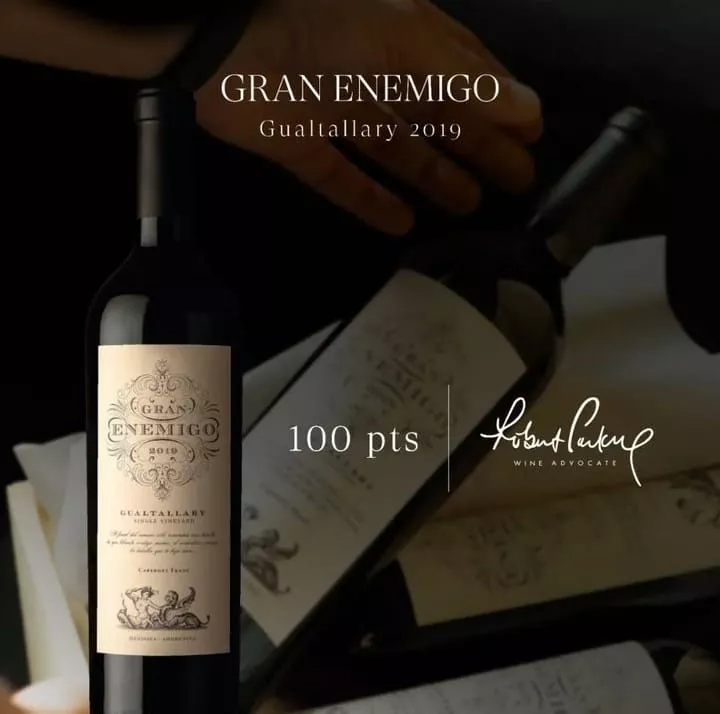 Gran Enemigo Gualtallary 2019 Caja X 6 Bot 100 Puntos Rp.