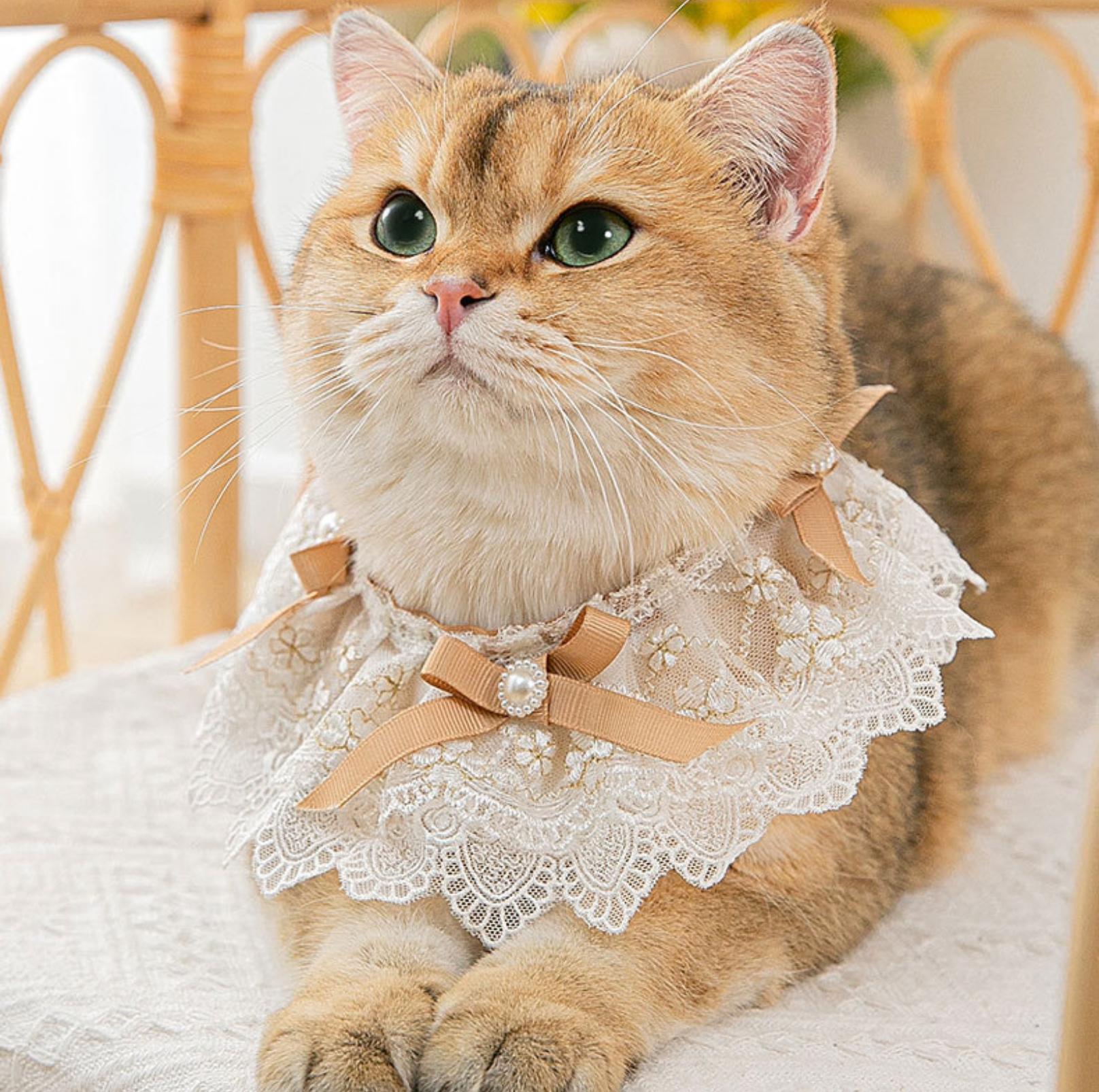 Lace Bib & Floral Necktie for Cats and Dogs