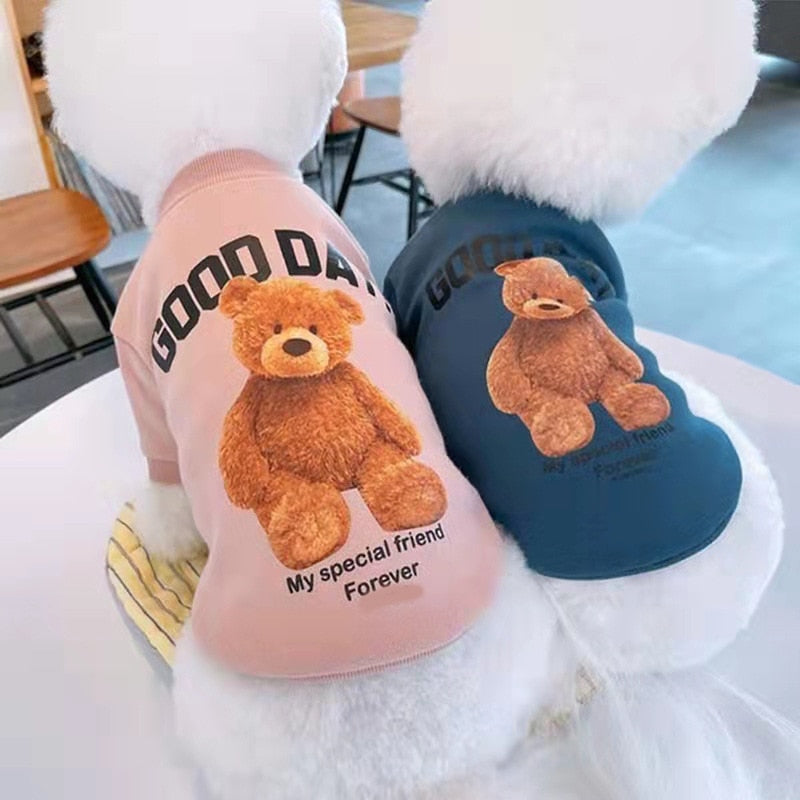 Teddy Printed Dog Cat Hoodie