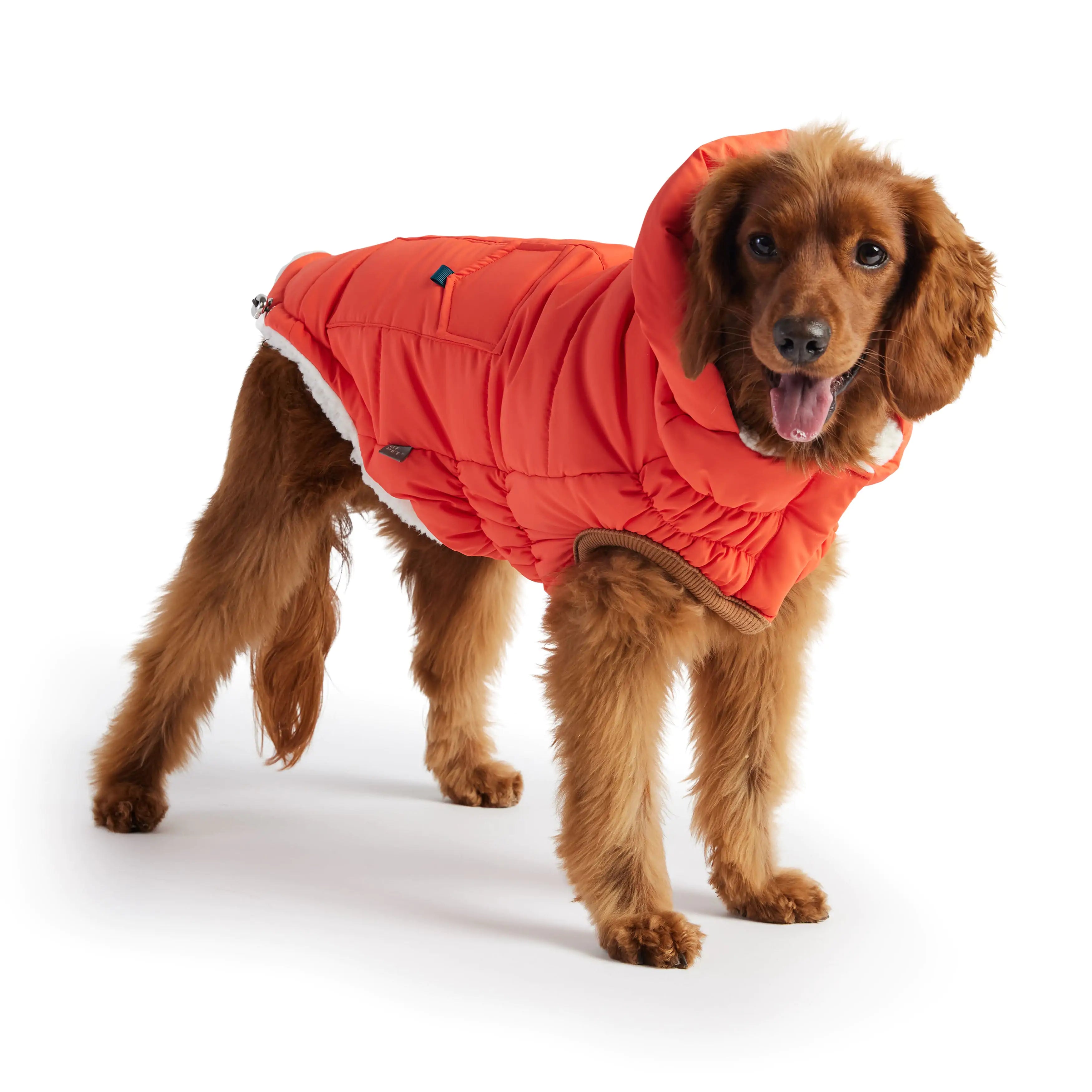 VividWarm Orange Parka