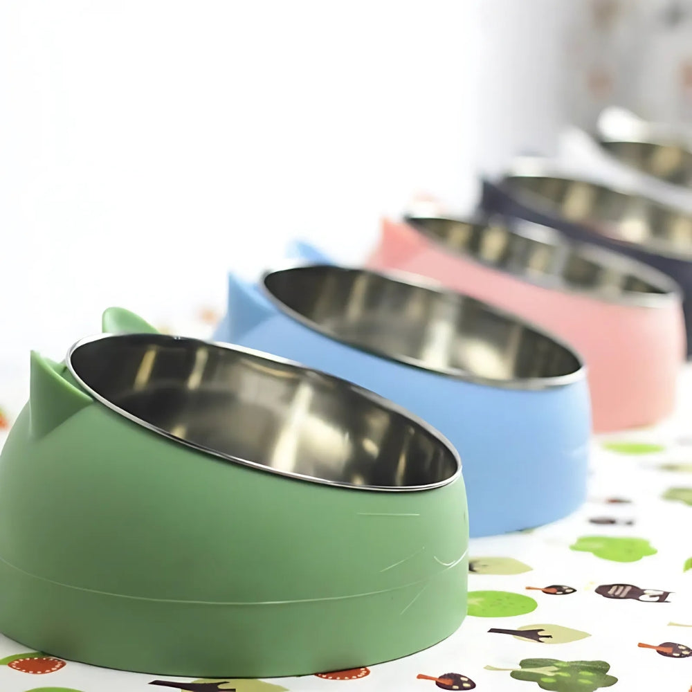 Pet Feeding Bowl