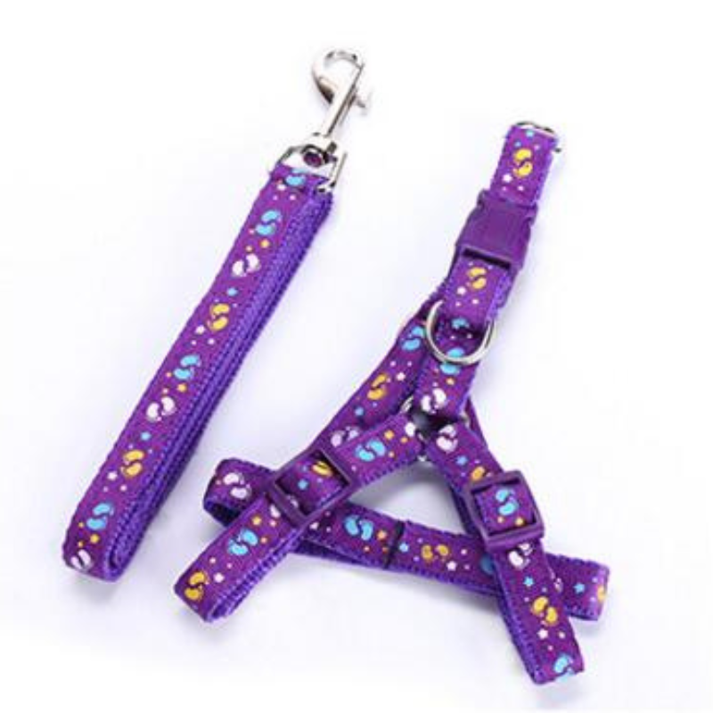 Stylish Dog Harness And Leash Set
