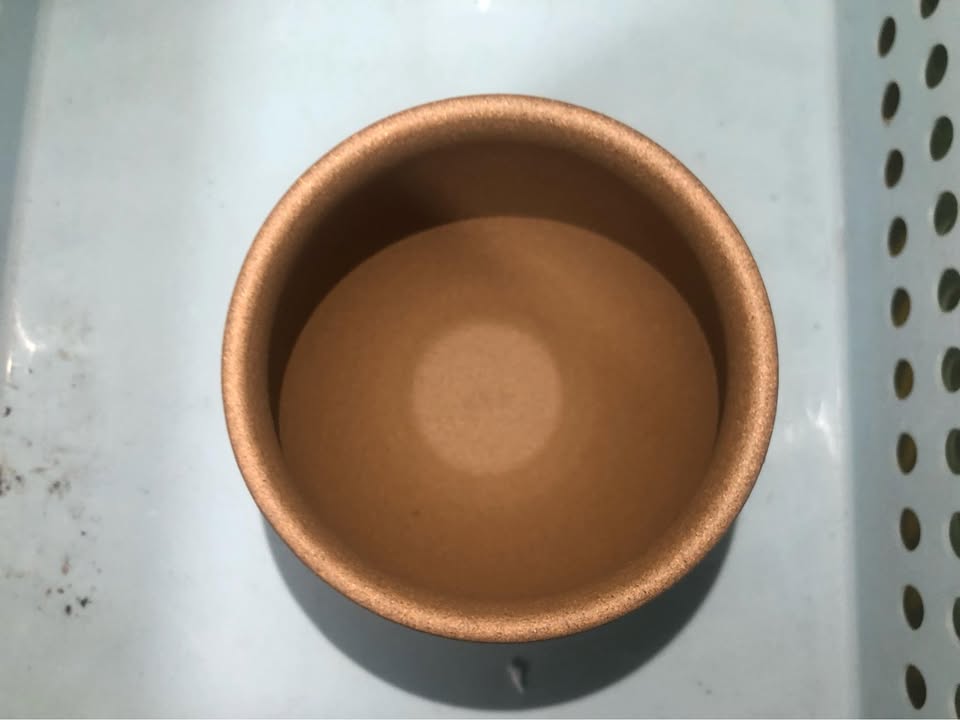20250601-主人杯-黃智揚大大專屬