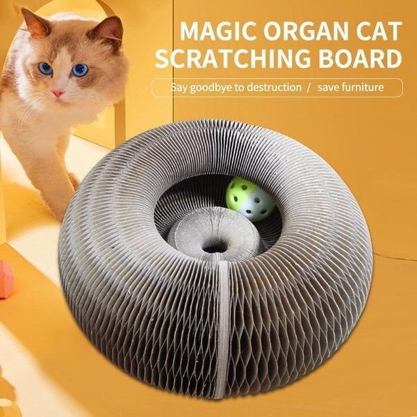 🎁Magic Organ Cat Scratching Board--Comes with a toy bell ball