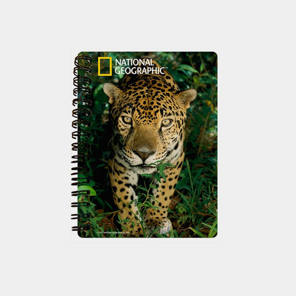 Jaguar 3D Cover A6 Diary