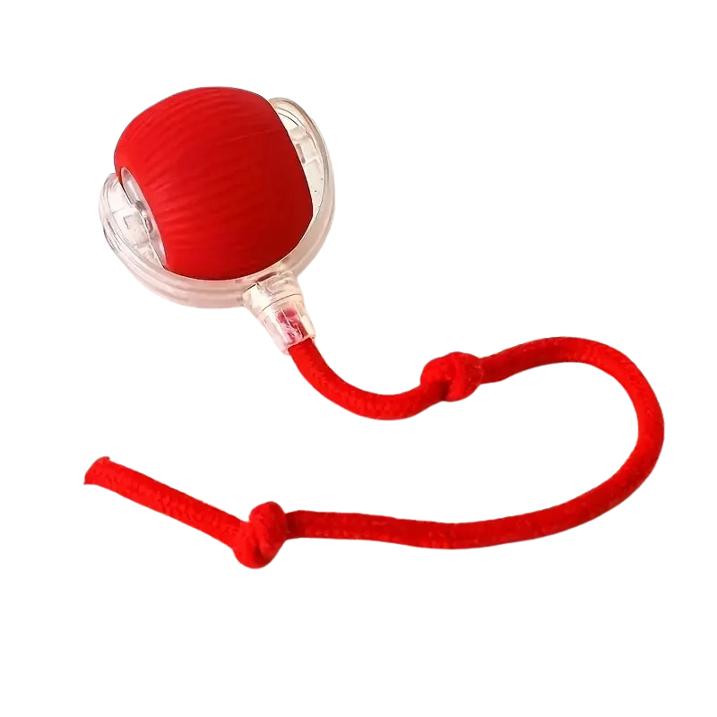 Interactive Motion Ball For Pets With USB Charging