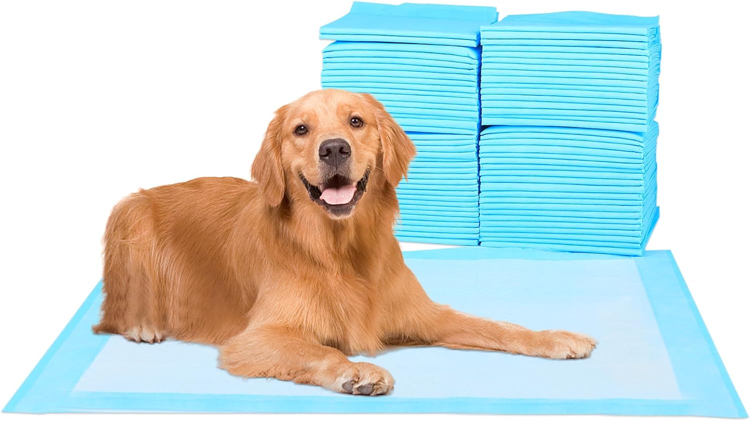 ScratchMe Super Absorbent Waterproof Dog and Puppy Pet Training Pad. Housebreaking Pet Pad.Blue (17.6x23.6 (50PCS))