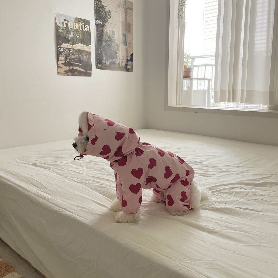 Heart/Cloud Printed Dog Cat Raincoat