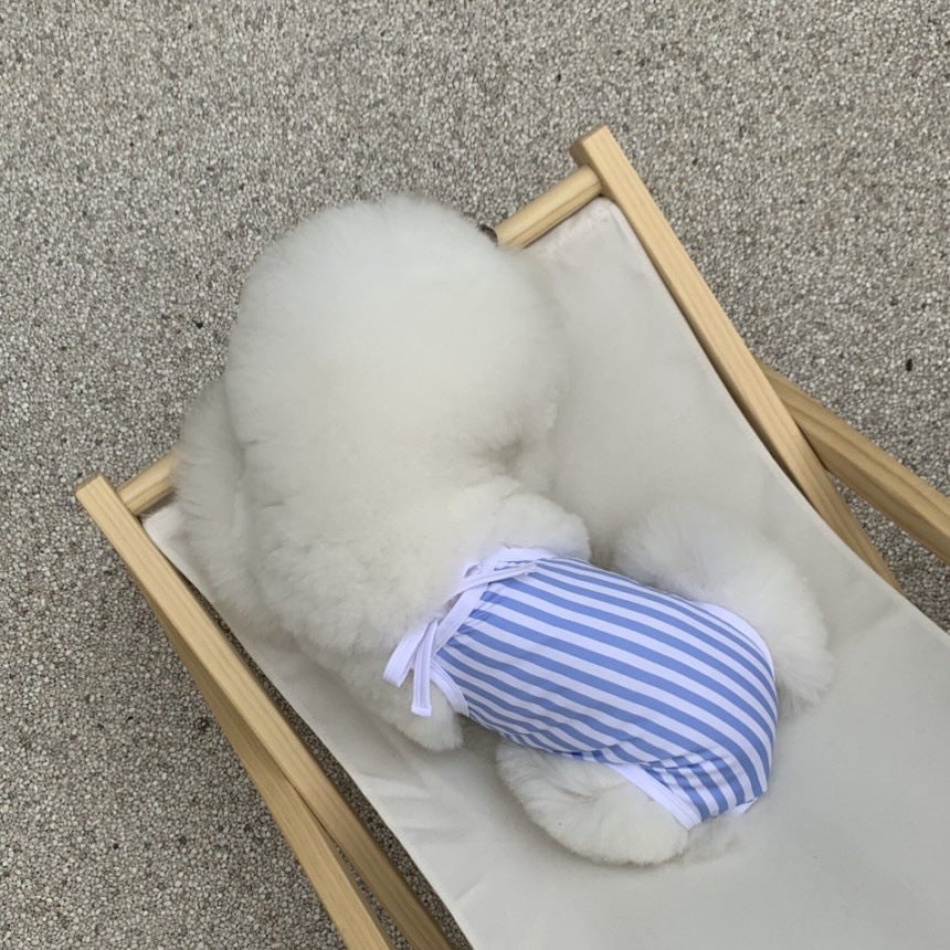 Striped Printed Dog Swimsuit