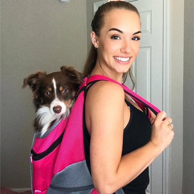Dog Backpack & Relieve separation anxiety in dogs