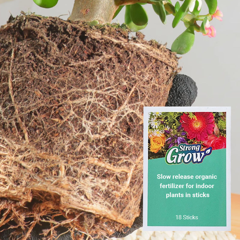 💥Last Day Promotion 49%OFF💥 Slow-Release Organic Fertilizer In Stick Form For Indoor PlantsBUY 5 GET 10 FREE