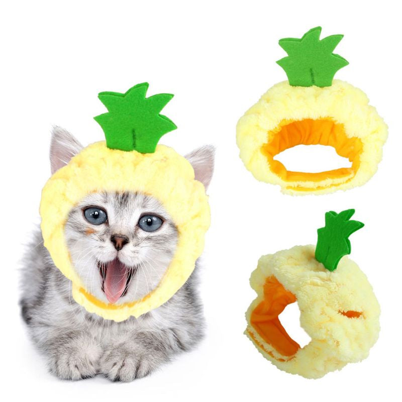 Pineapple Cat Hat
