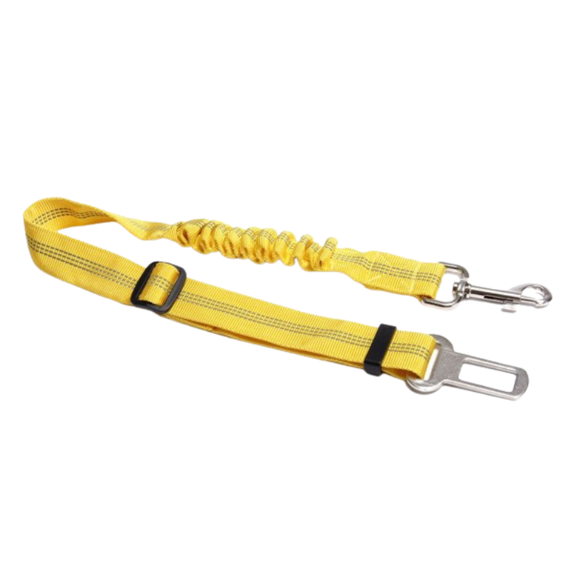 Pet Car Safety Leashes