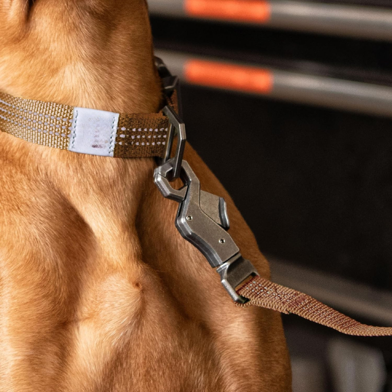 Pet Leash With Rugged Metal Buckle