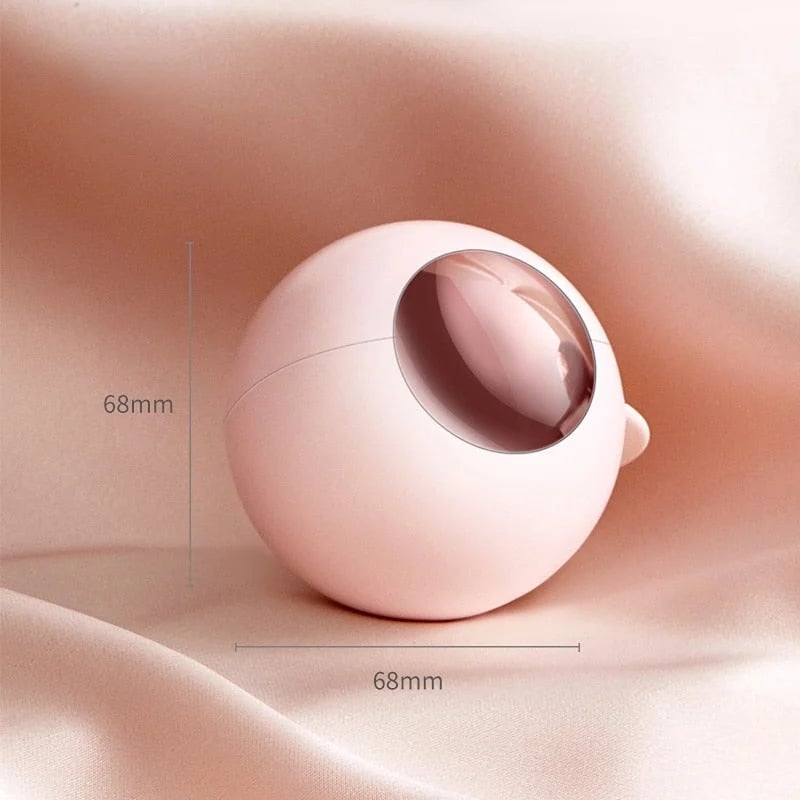 Portable Washable and Reusable Clothing Hair Removal Roller Ball