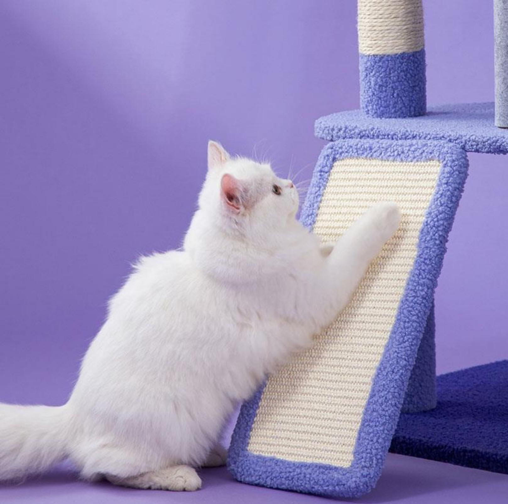 Walking Among The Starry Sky Cat Tree With Scratching Posts